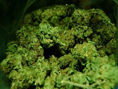 Tips for Designing a Weed Packaging